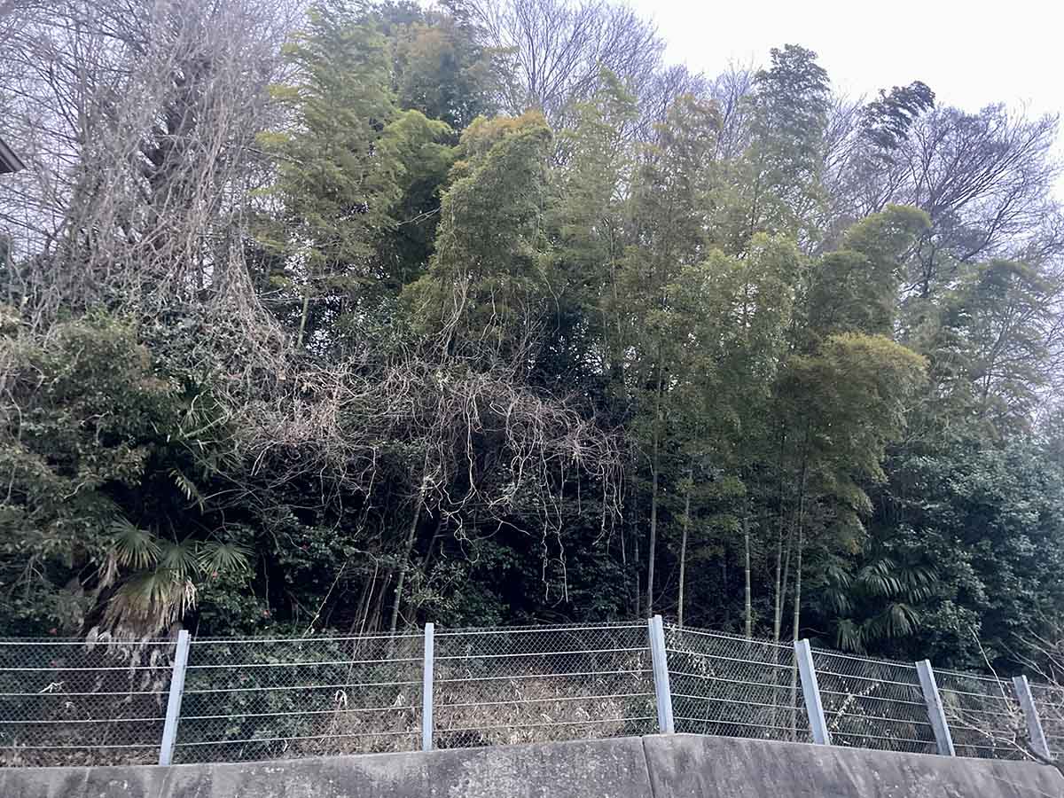 気になるニュース | 川崎で行方不明の女性の白骨遺体発見、事件の真相は? 気になるニュース | 川崎で行方不明の女性の白骨遺体発見、事件の真相は?